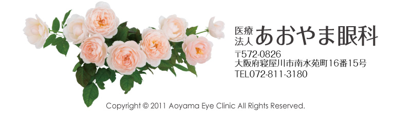 {Qs쐅1615Ö@l܊TEL.072-811-3180 Copyright 2011 Aoyama Eye Clinic All Rights Reserved.